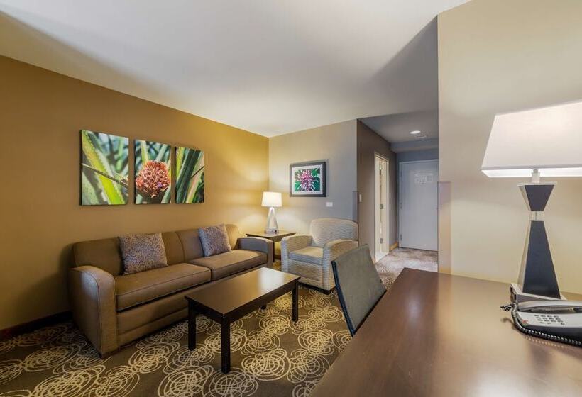 スイート, Best Western Plus Miami Airport North Hotel & Suites