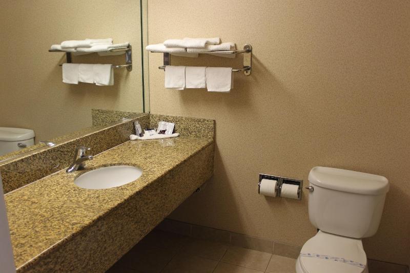 Büyük Çift Kişilik Yataklı Standart Oda, Crystal Inn Suites & Spas