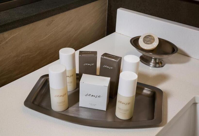 이그제큐티브 룸, The Hotel At Arundel Preserve