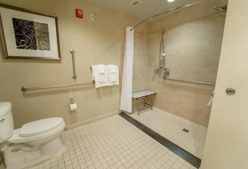 장애인을 위한 킹사이즈 침대 스탠다드 룸, The Hotel At Arundel Preserve