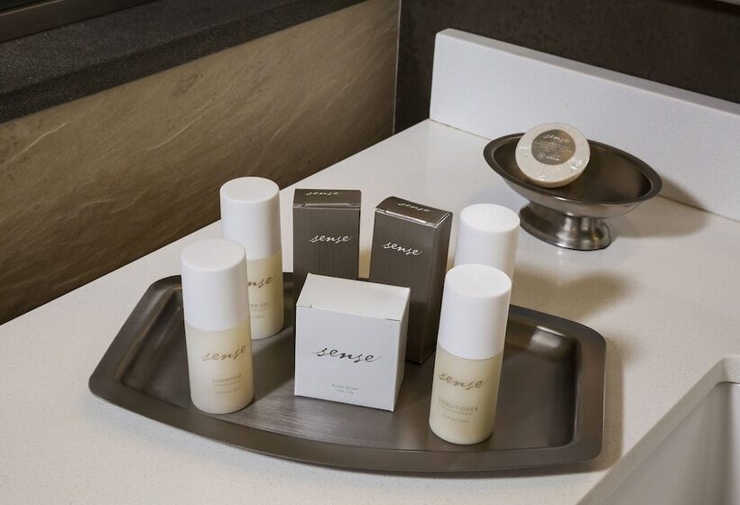 이그제큐티브 룸, The Hotel At Arundel Preserve