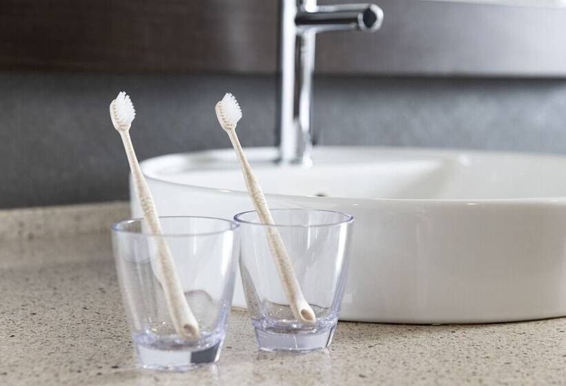 スタンダードシングルルーム, Tokyu Stay Kamata   Tokyo Haneda