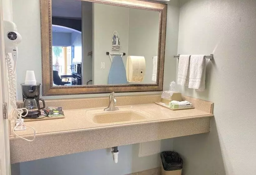 スタンダードルーム, Weslaco Inn  Weslaco/mercedes
