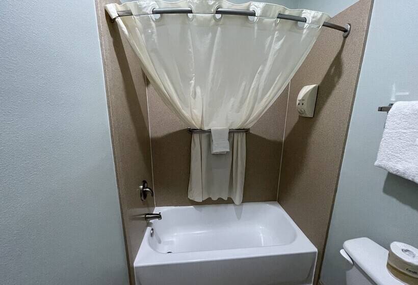 스탠다드 룸, Weslaco Inn Weslaco/mercedes