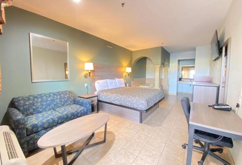 스탠다드 룸 킹사이즈 침대, Weslaco Inn Weslaco/mercedes