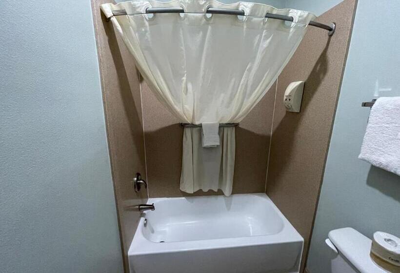 스탠다드 룸 킹사이즈 침대, Weslaco Inn Weslaco/mercedes