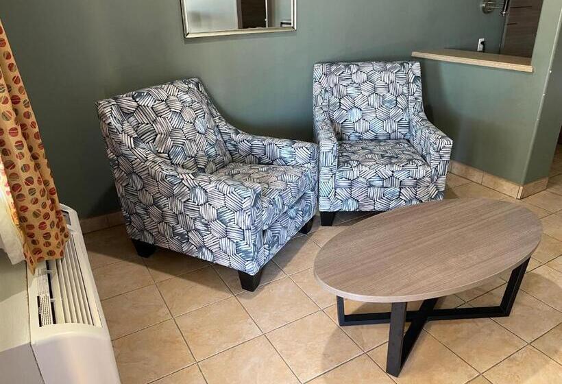 스탠다드 룸 킹사이즈 침대, Weslaco Inn Weslaco/mercedes