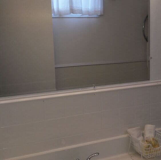 带2个双人床的标准工作室, Lido Motel Lake George