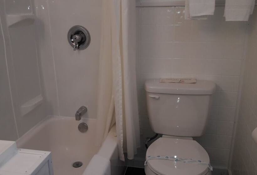 带2个双人床的标准工作室, Lido Motel Lake George