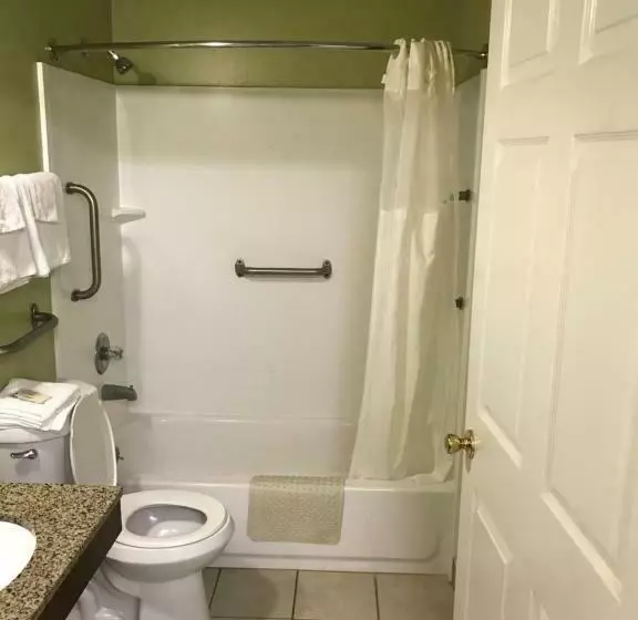 キングサイズベッドのスタンダードルーム, Euro Inn & Suites Of Slidell