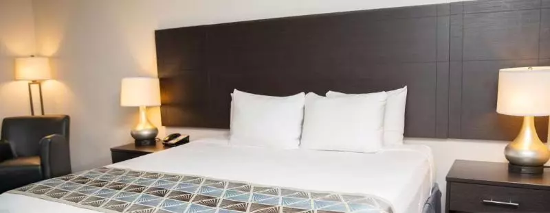 キングサイズベッドのスタンダードルーム, Surestay Plus By Best Western Montrose