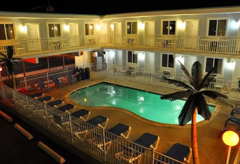 スタンダードルーム, Stardust Motel