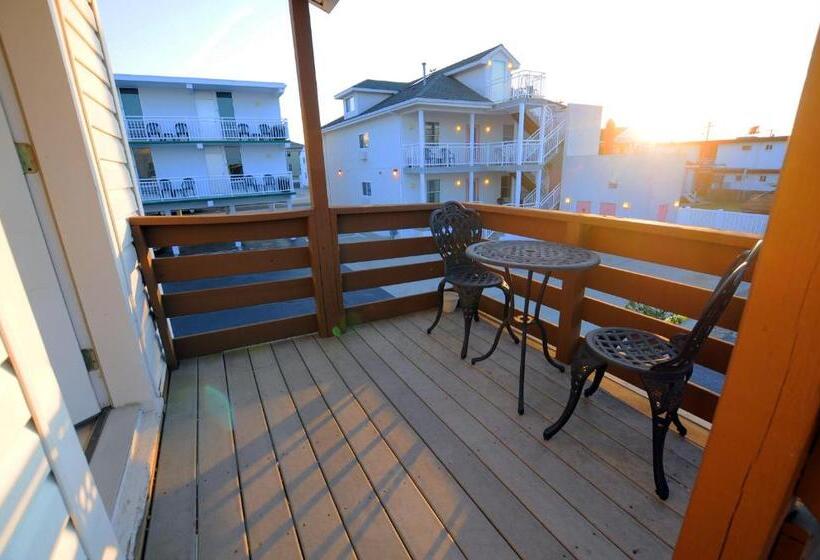 스탠다드 방갈로, Stardust Motel