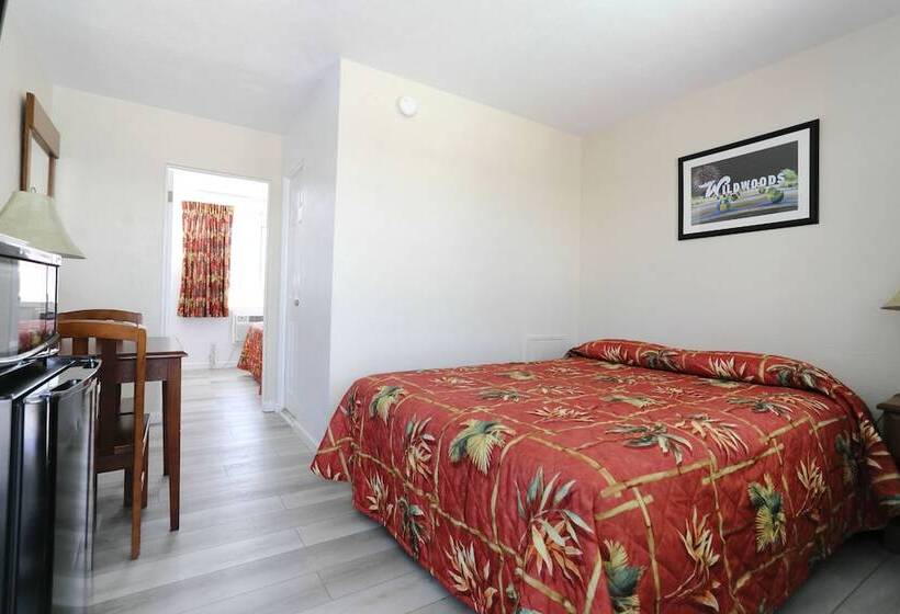 Номер Стандарт, Stardust Motel