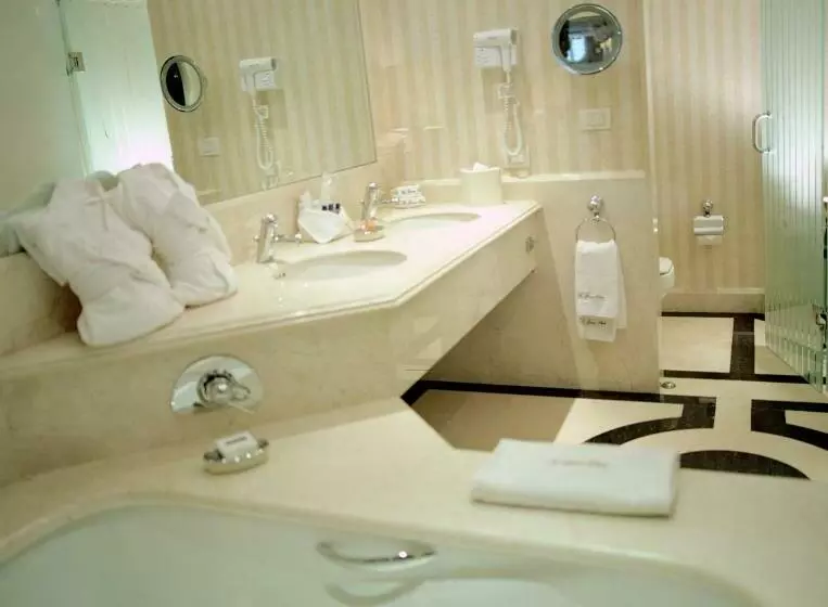 スイート, The Green Park Hotel Boutique