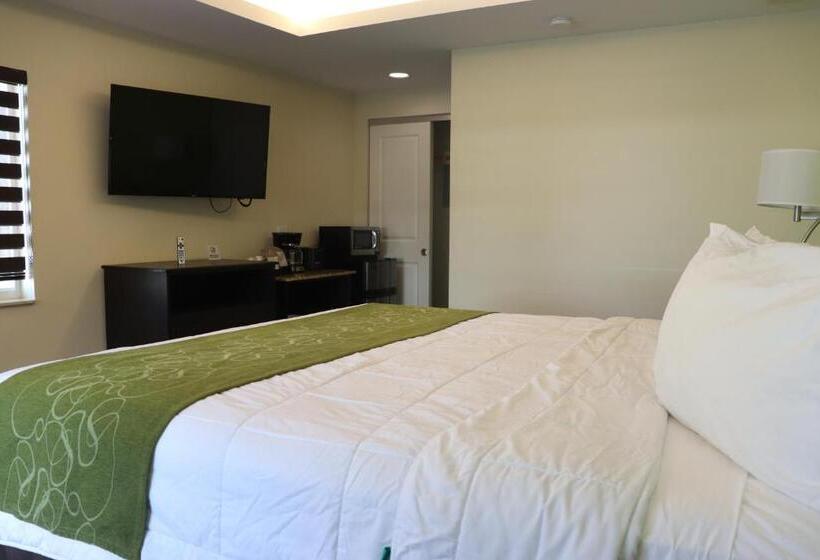 חדר סטנדרט עם מיטת קינג, Curtis Inn & Suites