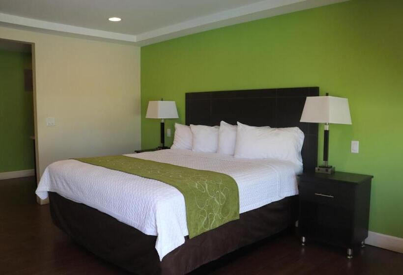 스탠다드 룸 킹사이즈 침대, Curtis Inn & Suites