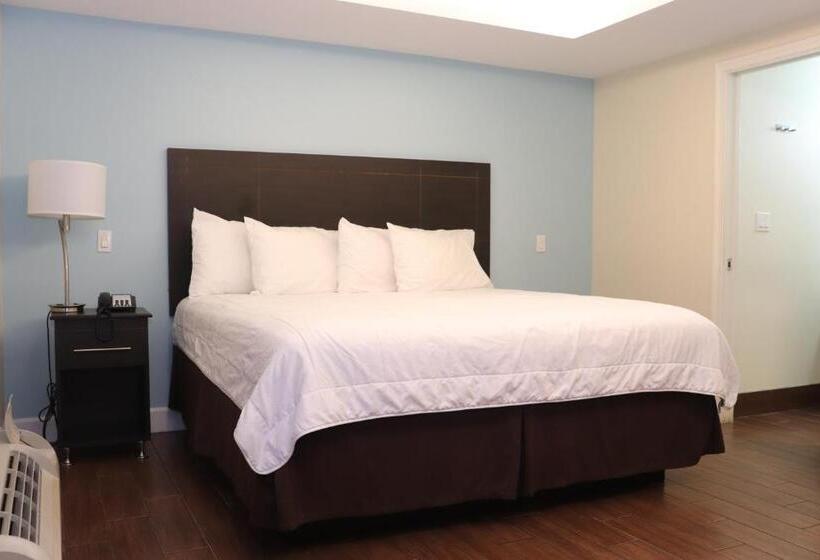 스탠다드 룸 킹사이즈 침대, Curtis Inn & Suites