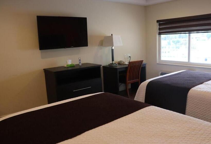 수피리어 룸, Curtis Inn & Suites