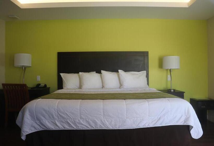 חדר אקונומי יחיד, Curtis Inn & Suites