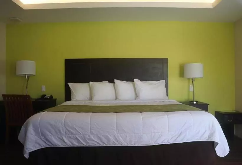 اتاق اکونومی یک تخته, Curtis Inn & Suites