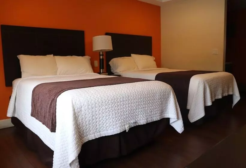 اتاق سوپریور, Curtis Inn & Suites