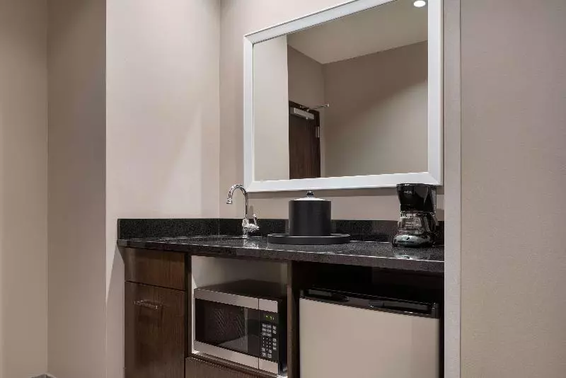 キングサイドベッドのスタンダードワンルーム, Hampton Inn & Suites Denver Downtownconvention Center