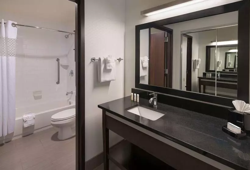 ダブルベッドのスタンダードスタジオ, Hampton Inn & Suites Denver Downtownconvention Center