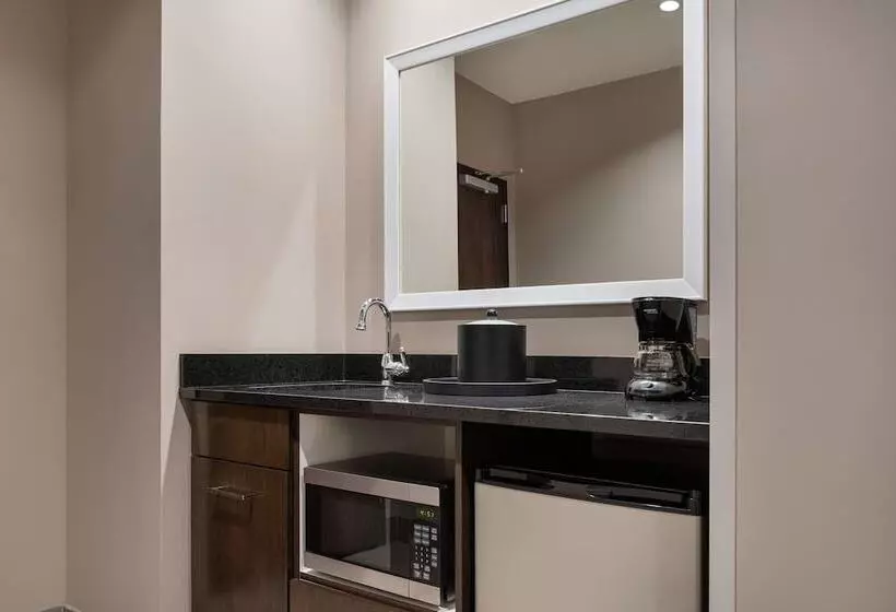 ダブルベッドのスタンダードスタジオ, Hampton Inn & Suites Denver Downtownconvention Center
