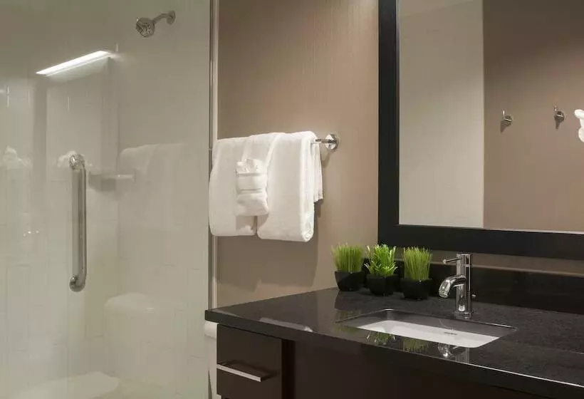 ダブルベッドのスタンダードスタジオ, Homewood Suites By Hilton Denver Downtown Convention Center