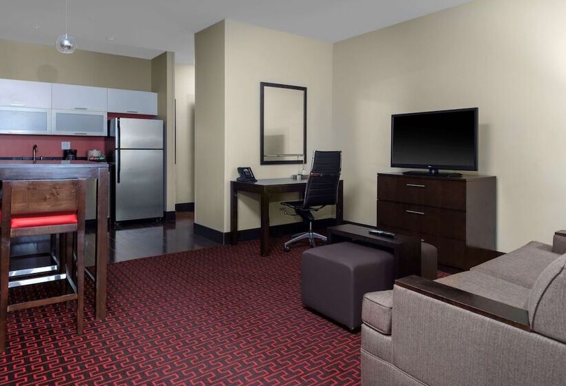 带双人床的标准工作室, Homewood Suites By Hilton Denver Downtown Convention Center