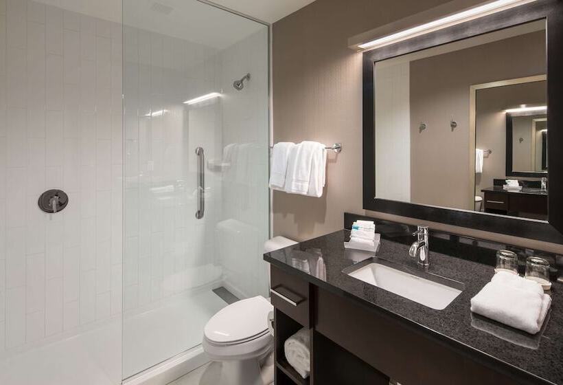 ダブルベッドのスタンダードスタジオ, Homewood Suites By Hilton Denver Downtown Convention Center