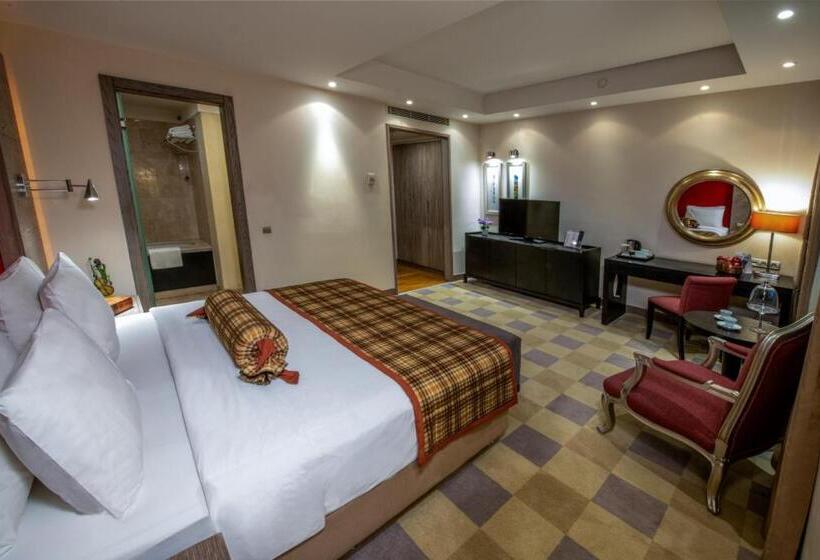 スタンダードルーム, Agaoğlu My City Hotel Istanbul