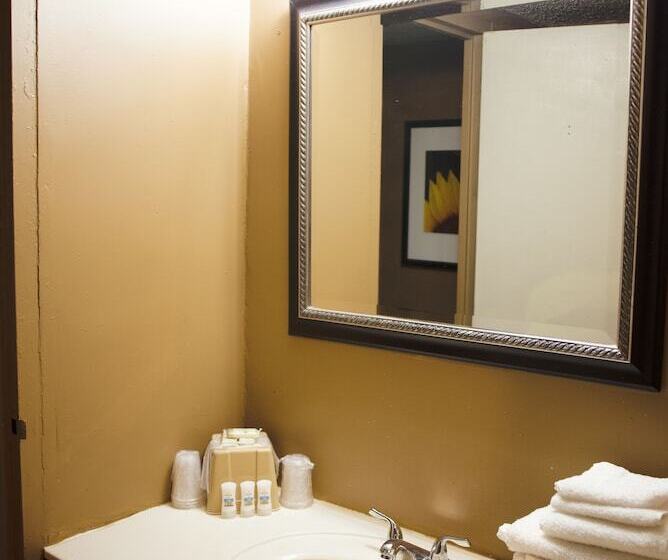 غرفة قياسية فردية, Arrowhead Inn