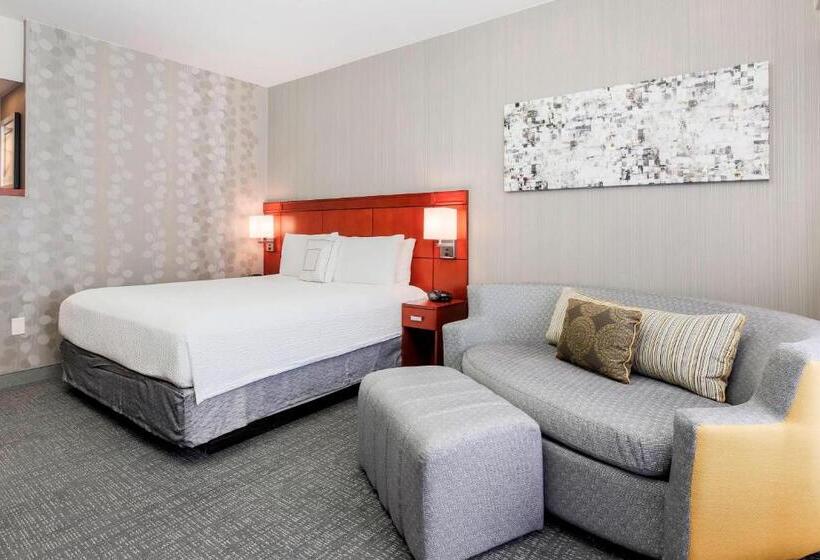 스탠다드 룸 킹사이즈 침대, Courtyard By Marriott Dallas Arlington South