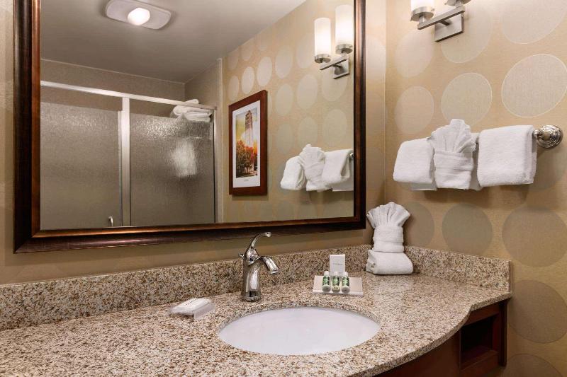 キングサイズベッドのスタンダードルーム, Hilton Garden Inn Ann Arbor