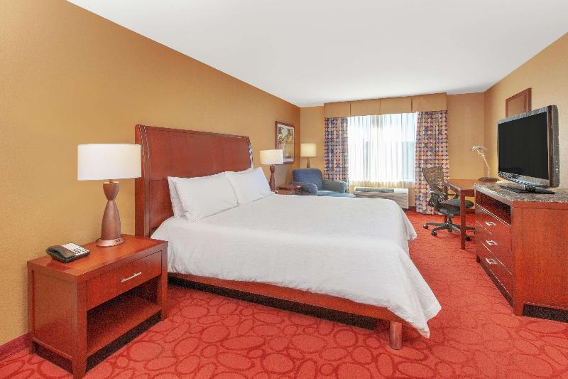 キングサイズベッドのスタンダードルーム, Hilton Garden Inn Ann Arbor