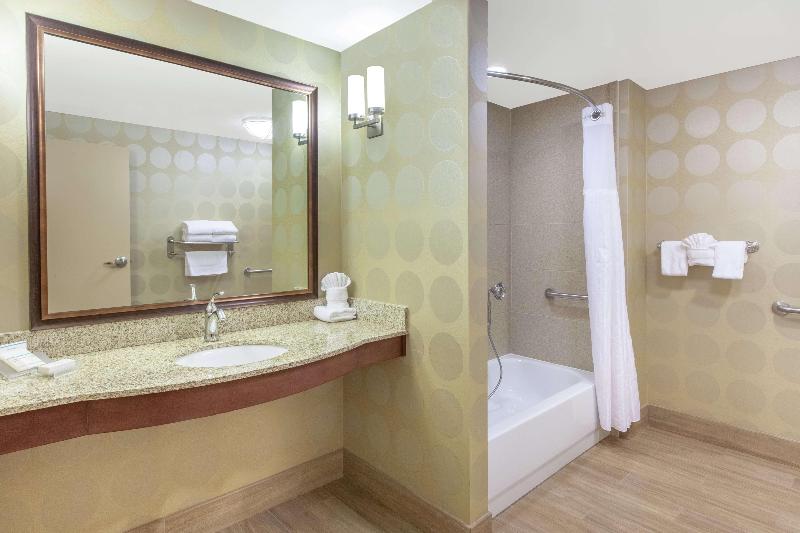 キングサイズベッドのスタンダードルーム, Hilton Garden Inn Ann Arbor