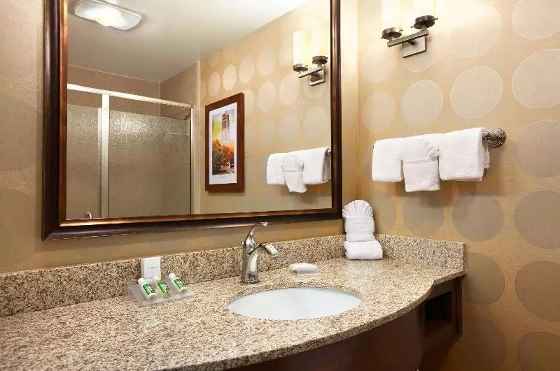 Premium-huone, Hilton Garden Inn Ann Arbor