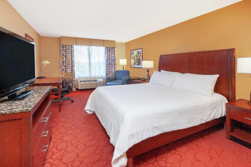 キングサイズベッドのスタンダードルーム, Hilton Garden Inn Ann Arbor