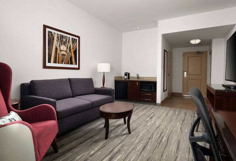 身障者適用スタンダードルーム, Hilton Garden Inn Ann Arbor