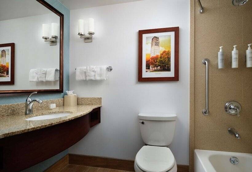 Номер Стандарт Адаптированный для Инвалидов, Hilton Garden Inn Ann Arbor