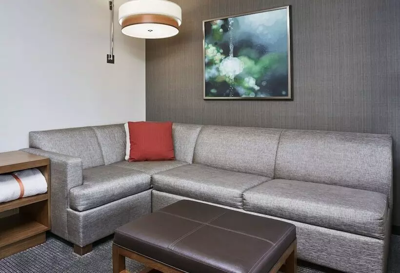 ２ダブルベッドのスタンダードルーム, Hyatt Place Chicago River North