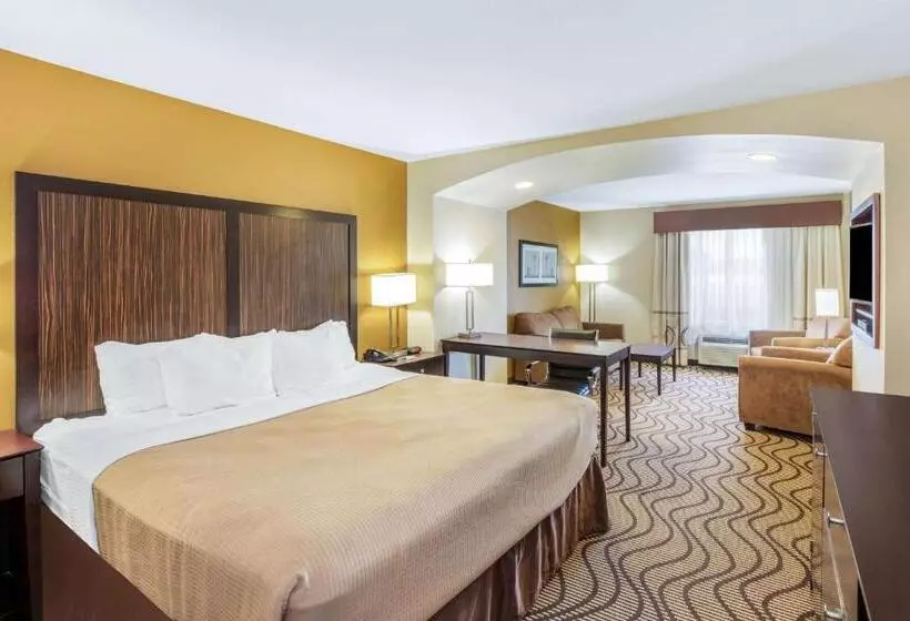 キングサイズベッドのデラックスルーム, La Quinta Inn & Suites By Wyndham Floresville