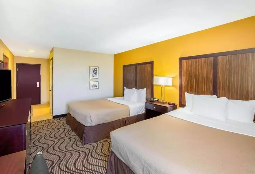 身障者適用クイーンサイズベッドルーム, La Quinta Inn & Suites By Wyndham Floresville