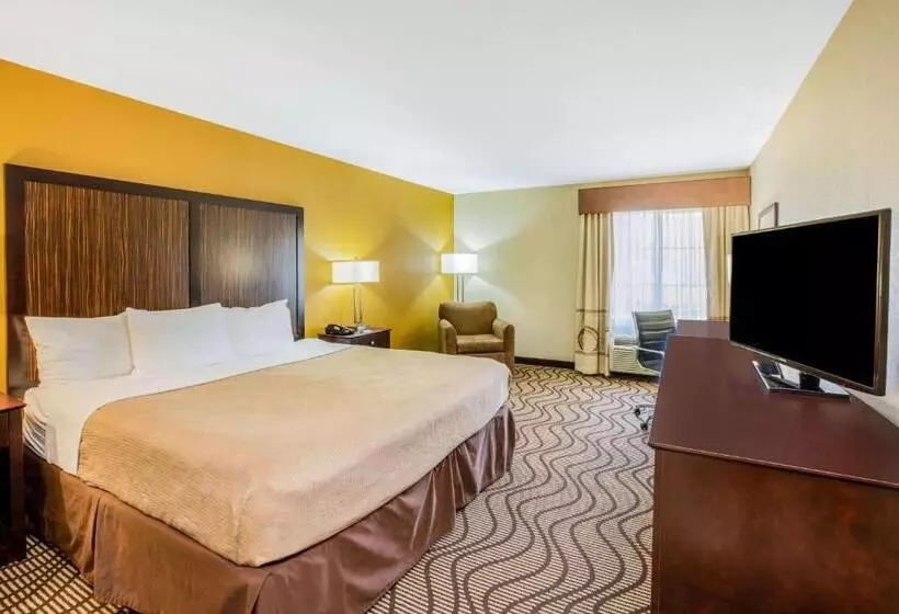 身障者適用キングサイズベッドルーム, La Quinta Inn & Suites By Wyndham Floresville