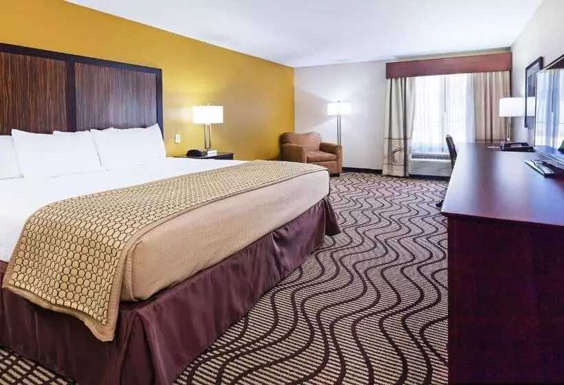 身障者適用キングサイズベッドルーム, La Quinta Inn & Suites By Wyndham Floresville