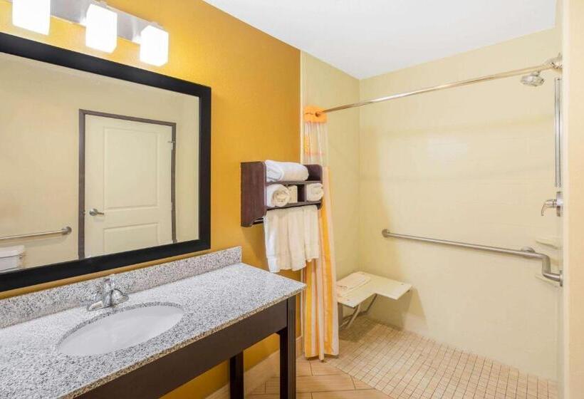 障害者適応デラックスルーム, La Quinta Inn & Suites By Wyndham Floresville