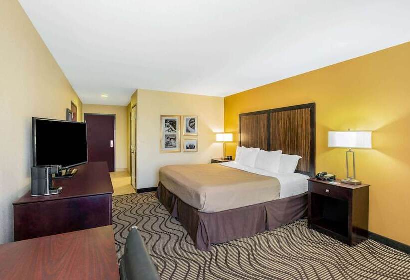 障害者適応デラックスルーム, La Quinta Inn & Suites By Wyndham Floresville