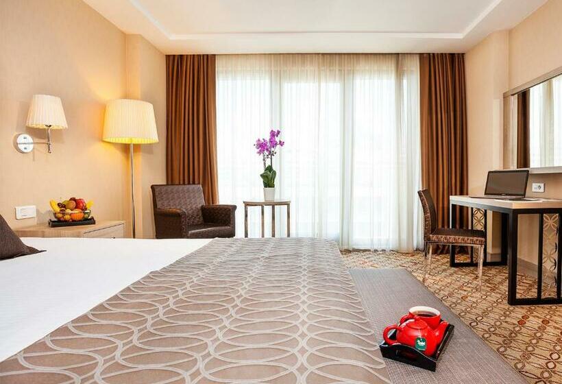 اتاق سوپریور با چشم‌انداز جانبی دریا, Nidya Hotel Galataport